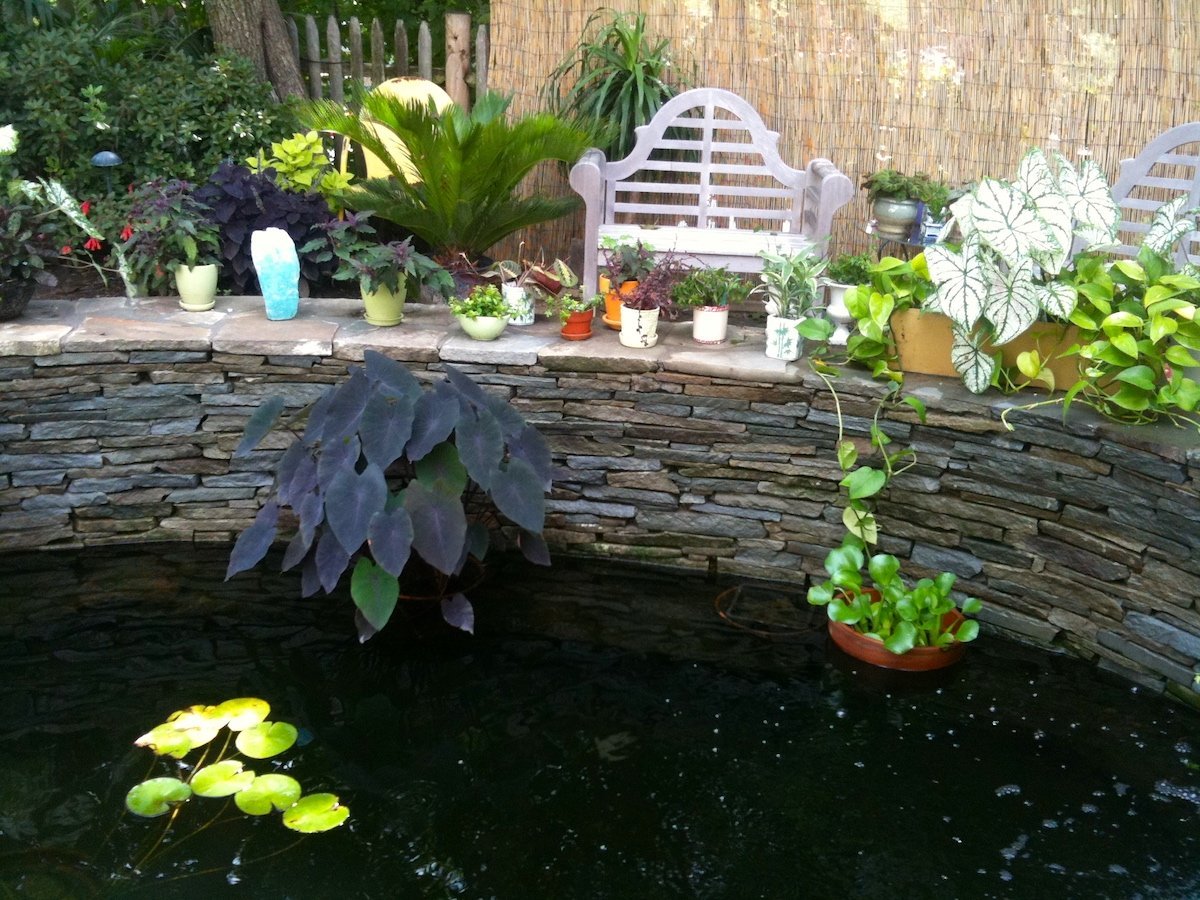 Koi pond with stacked stone wall and tropical plantings