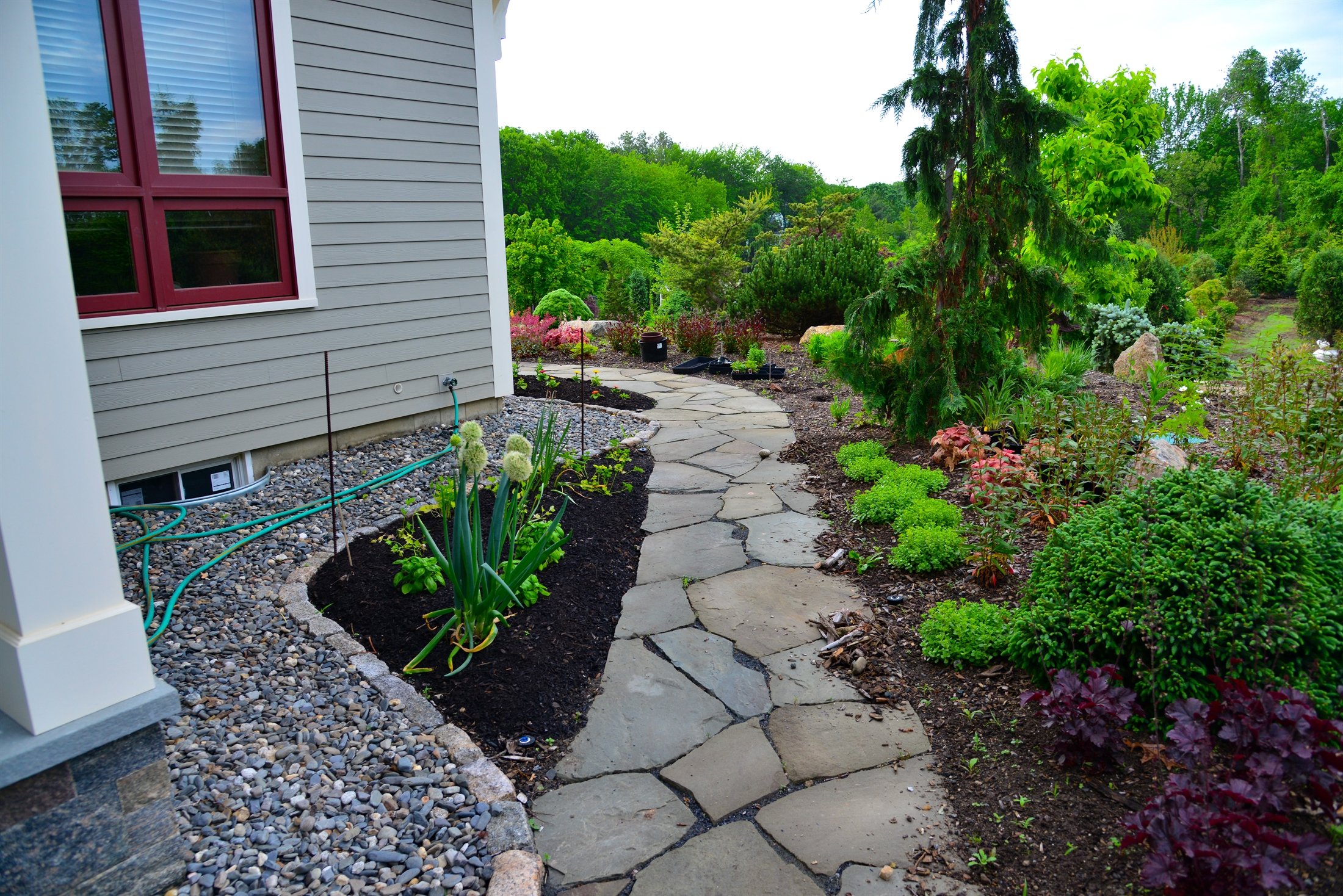 Well-maintained garden path in Greater Boston
