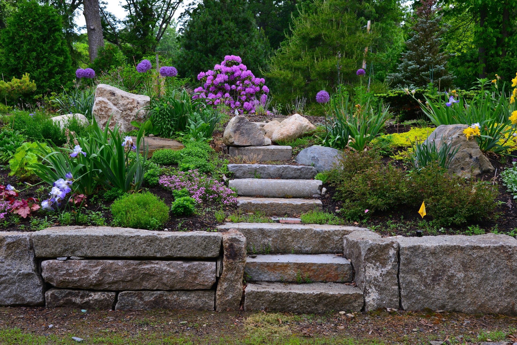 Professional rock garden maintenance by Stone and Garden Solutions
