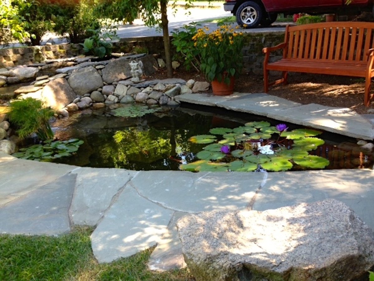 Lily pond with natural stone edging